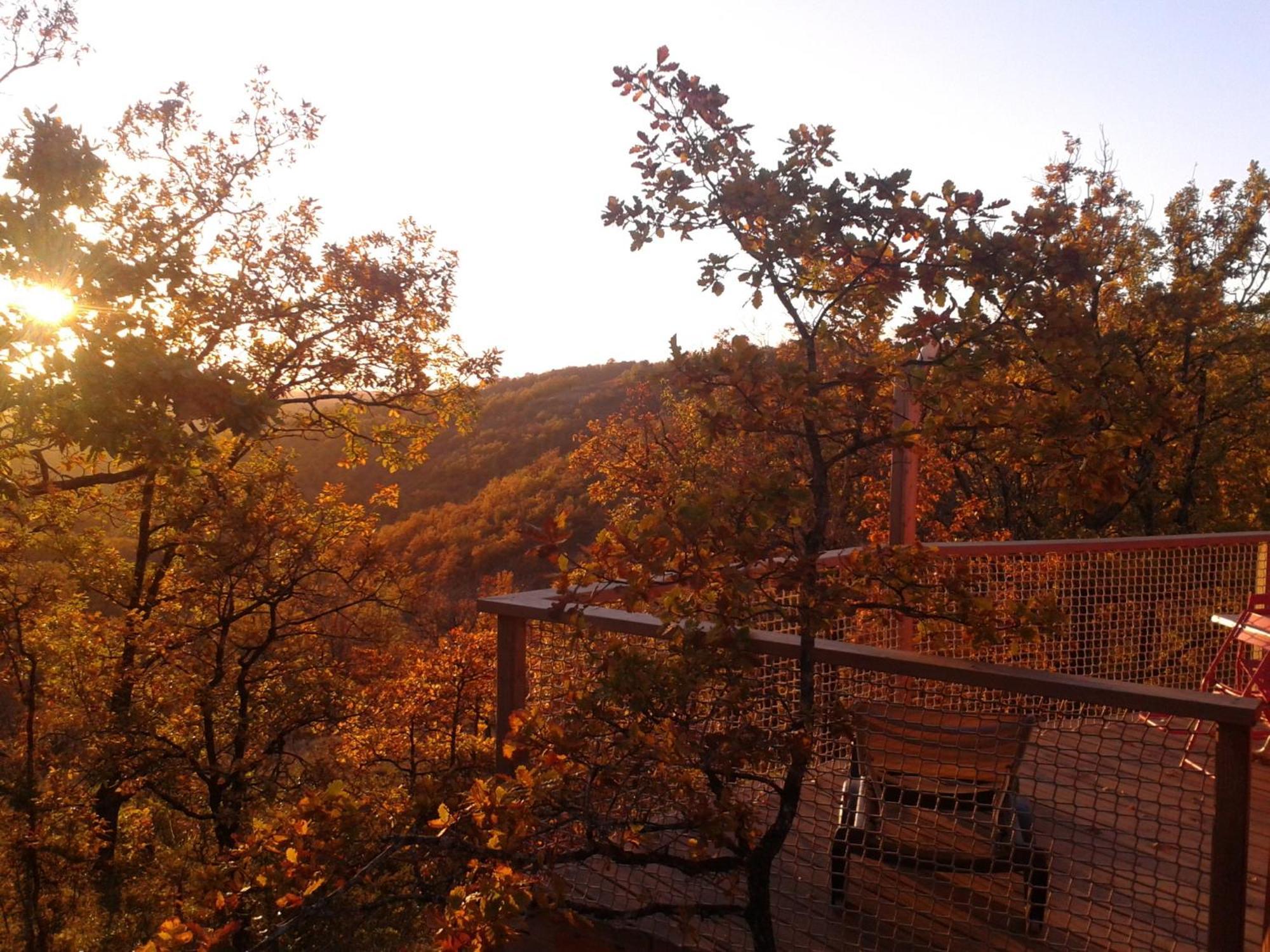 Les Hauts D'Albas Oda fotoğraf