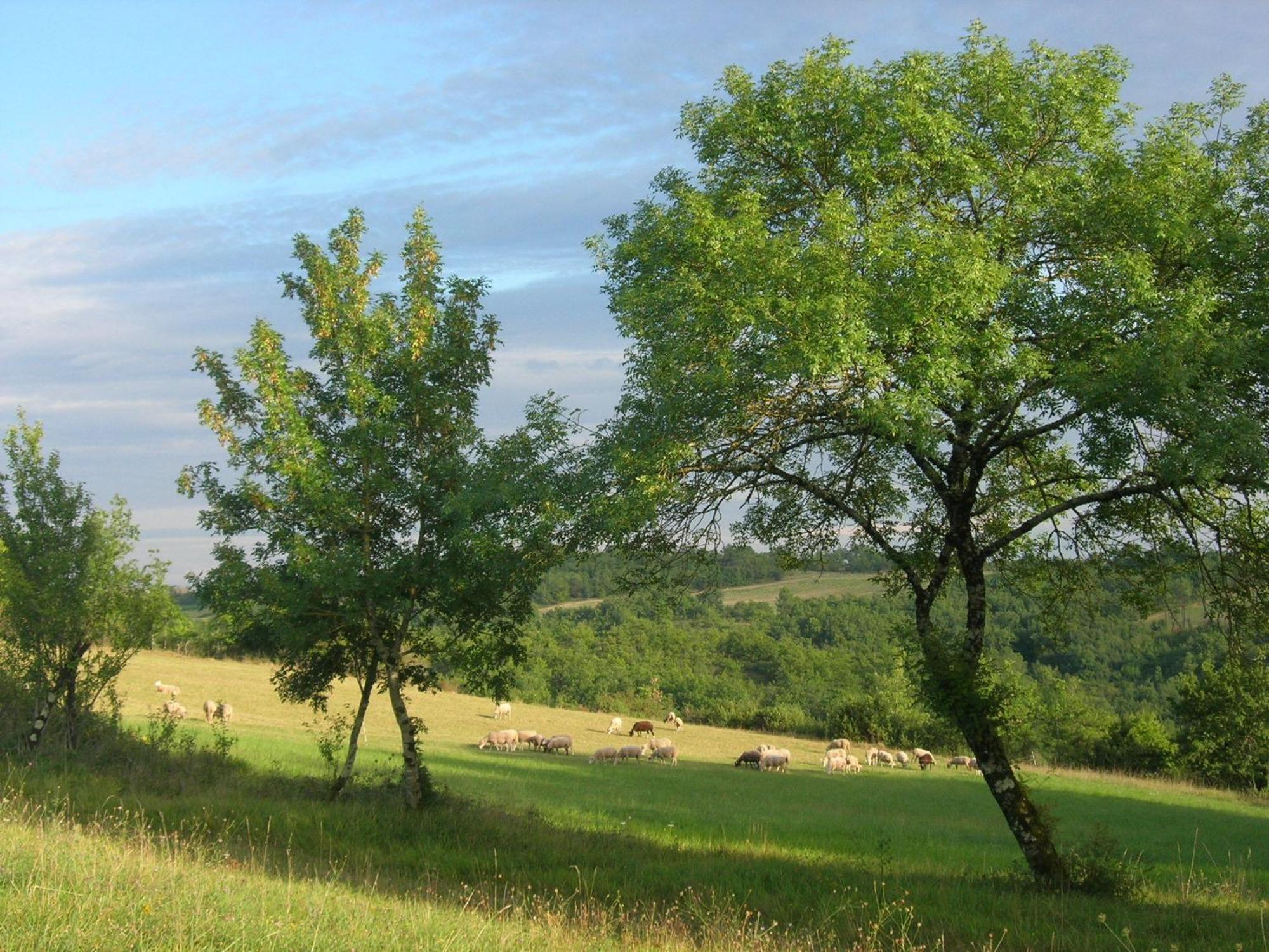 Les Hauts D'Albas Oda fotoğraf