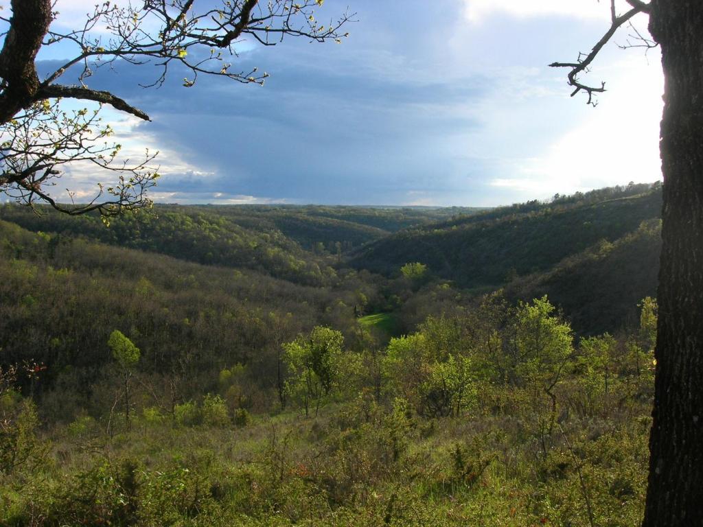 Les Hauts D'Albas Oda fotoğraf